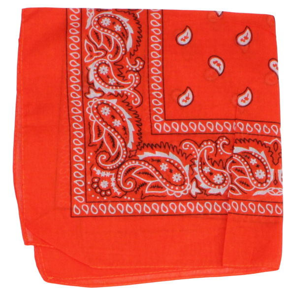 Bandana oranžinė