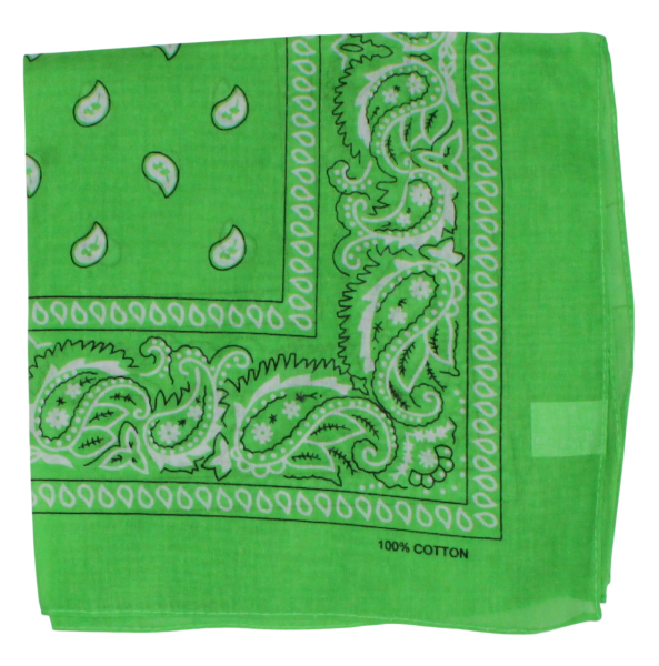 Bandana light green